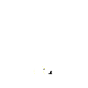 uy555